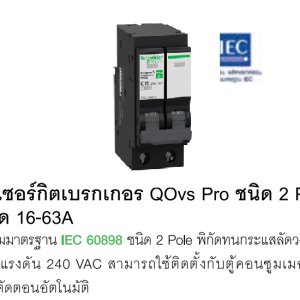 QOvs Pro Main Circuit Breaker 2-Pole type, 20–63 A rating.