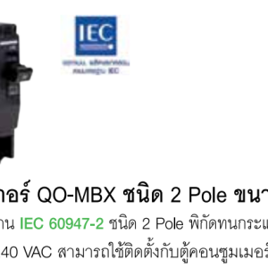QOvs Pro Main Circuit Breaker 2-Pole type, 80-100 A rating.